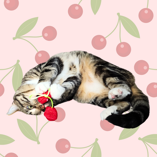 Cherry Catnip Cat Toy