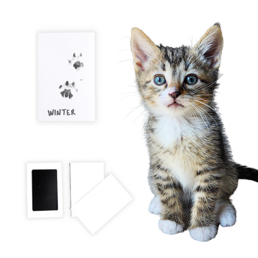 Paw Print Kit