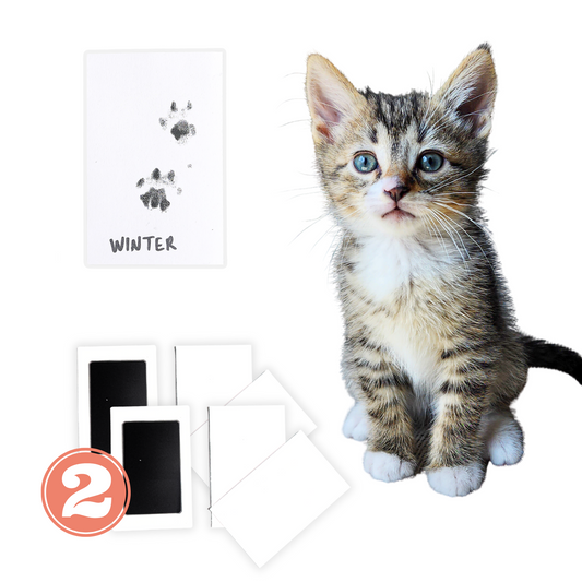 Paw Print Kit - Set of 2