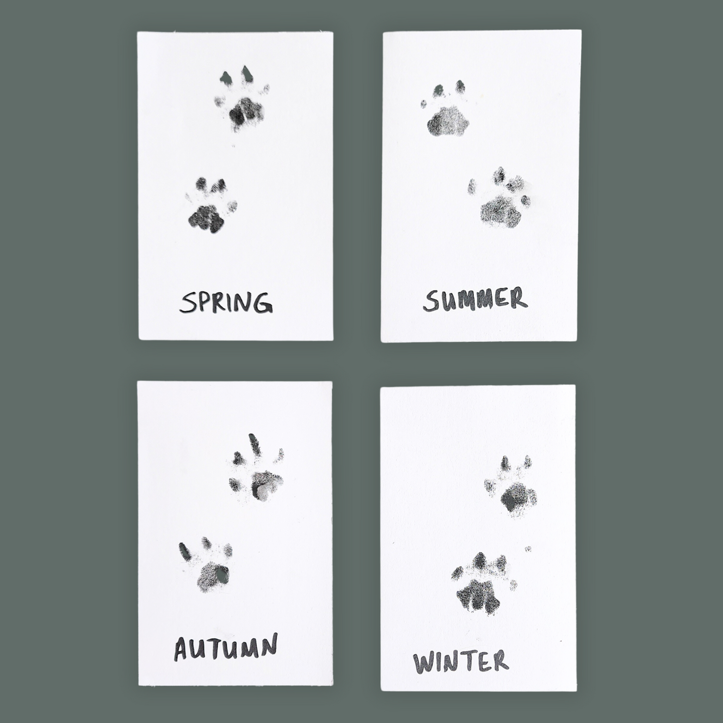 Paw Print Kit