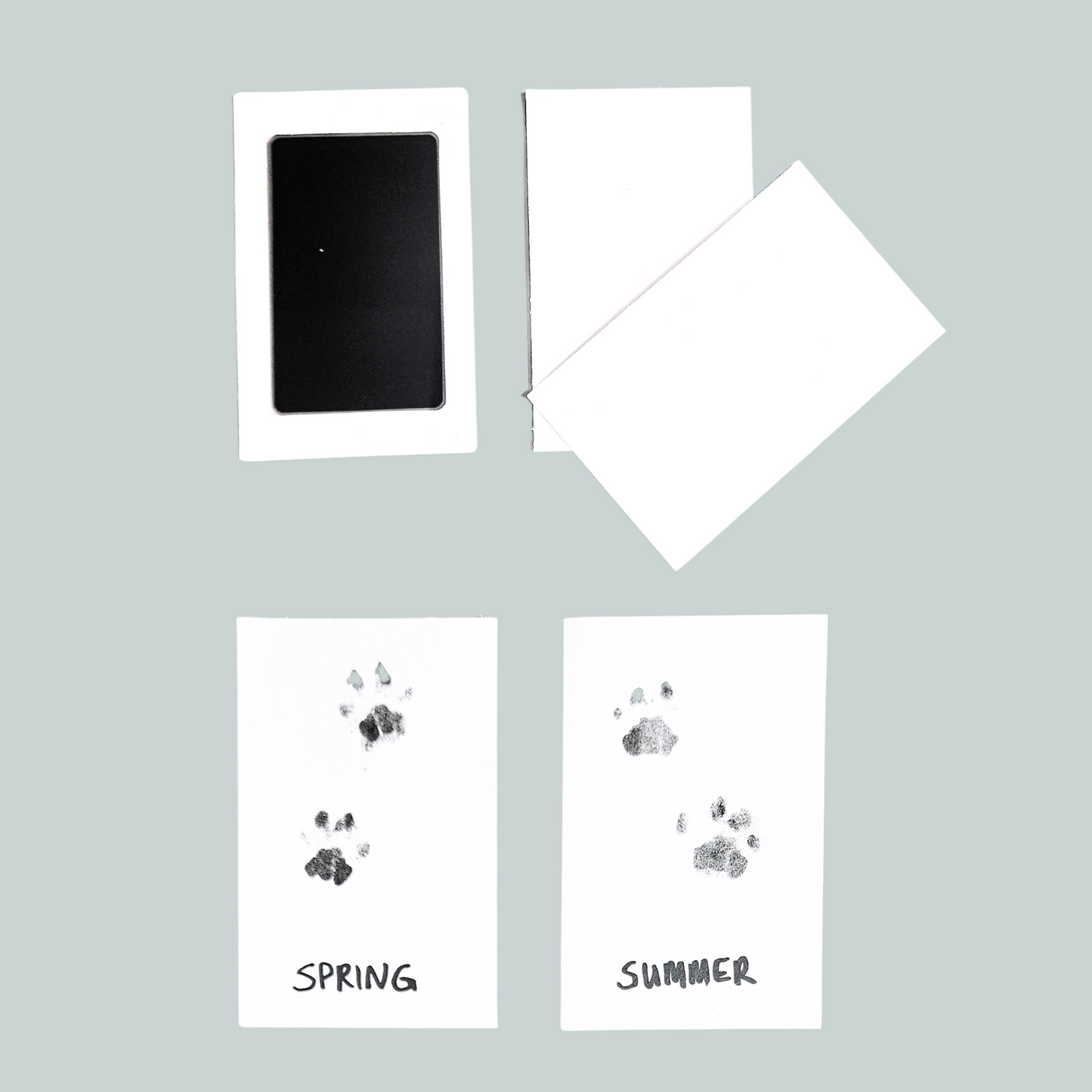 Paw Print Kit - Set of 2